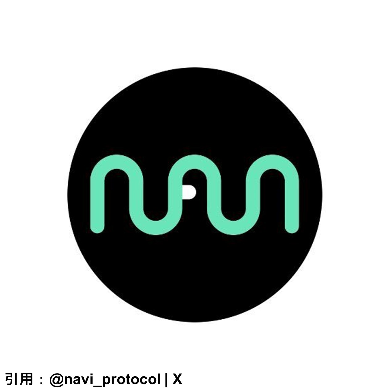 NAVI Protocol_アイコン