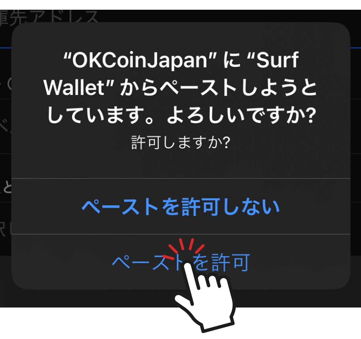 Surfからのペースト確認（OKCoinJapan）