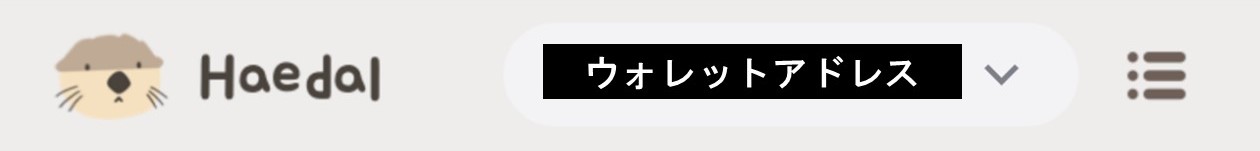 ウォレット接続後（Haedal）