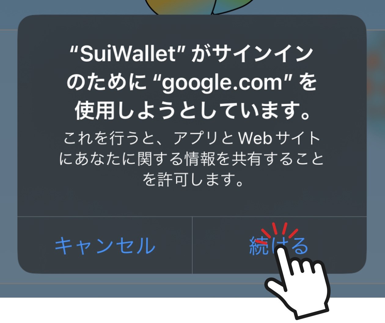 Googleへのアクセス確認（Sui Wallet / スマホ版）