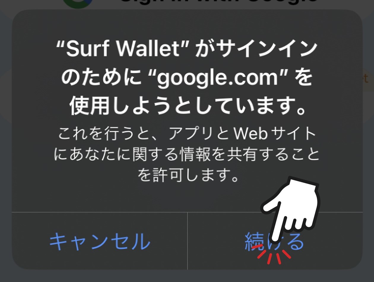 Googleへのアクセス許可（Surf Wallet）